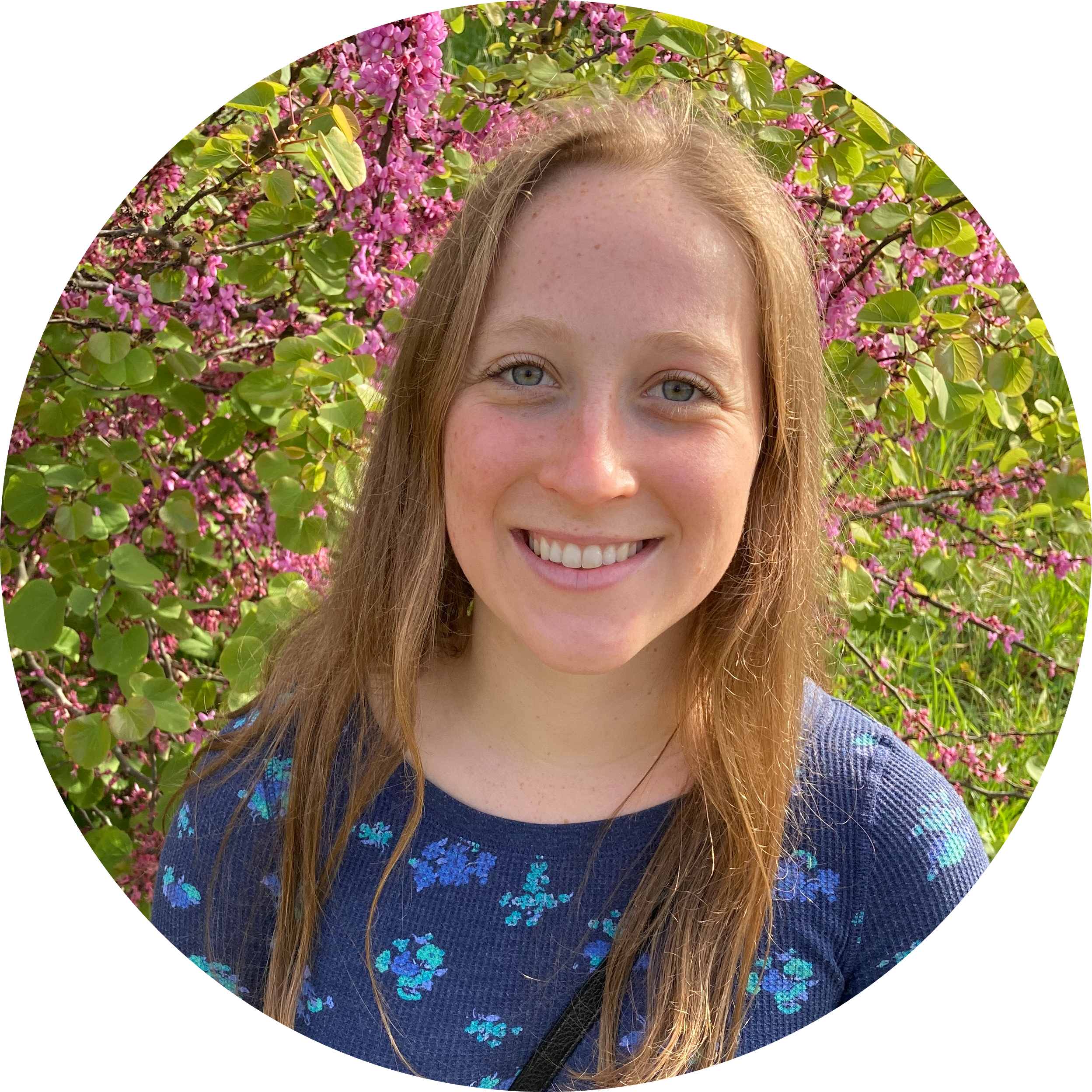 Go to the profile of Mira Mastoras