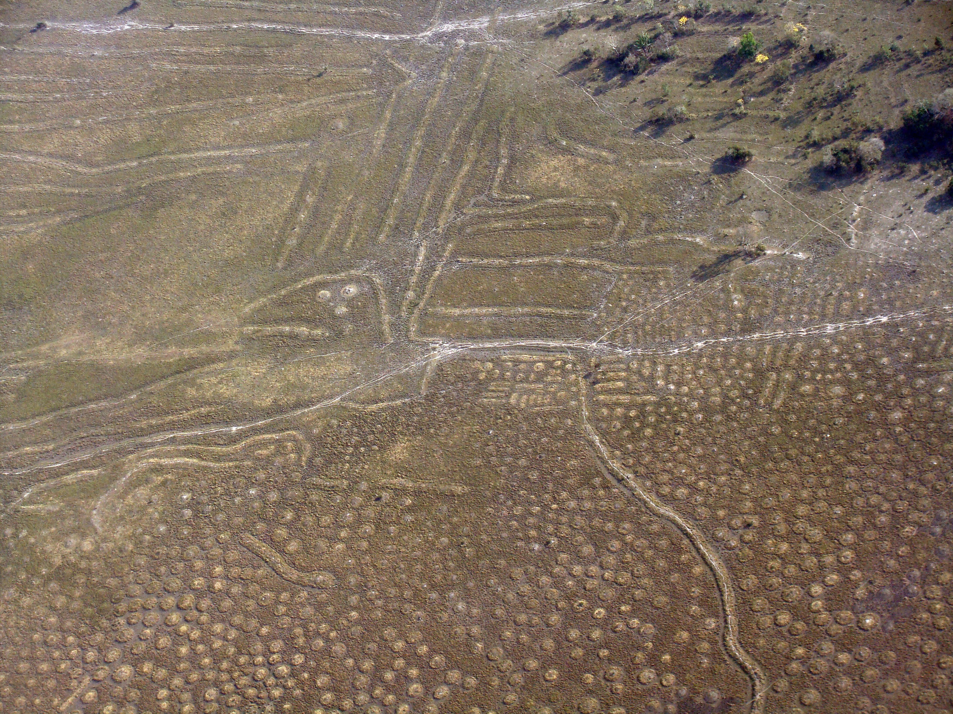 Different ways of coping with climate change in pre-Columbian Amazonia