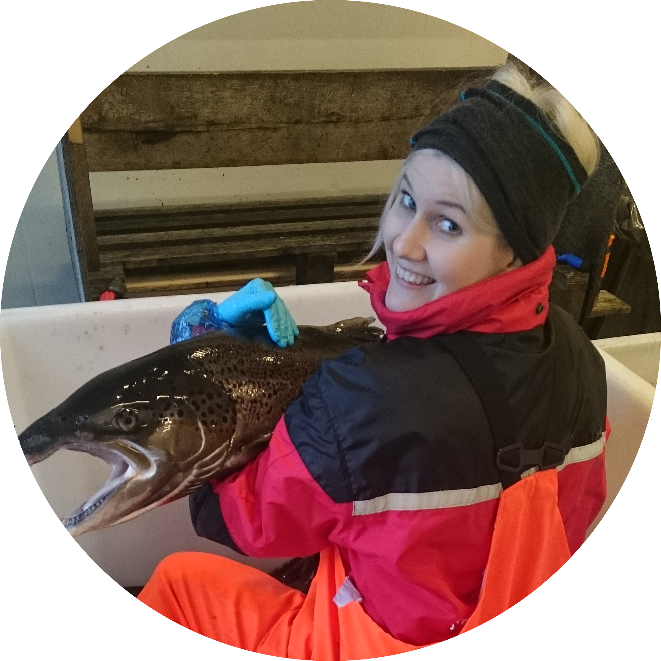 Go to the profile of Monica Favnebøe Solberg