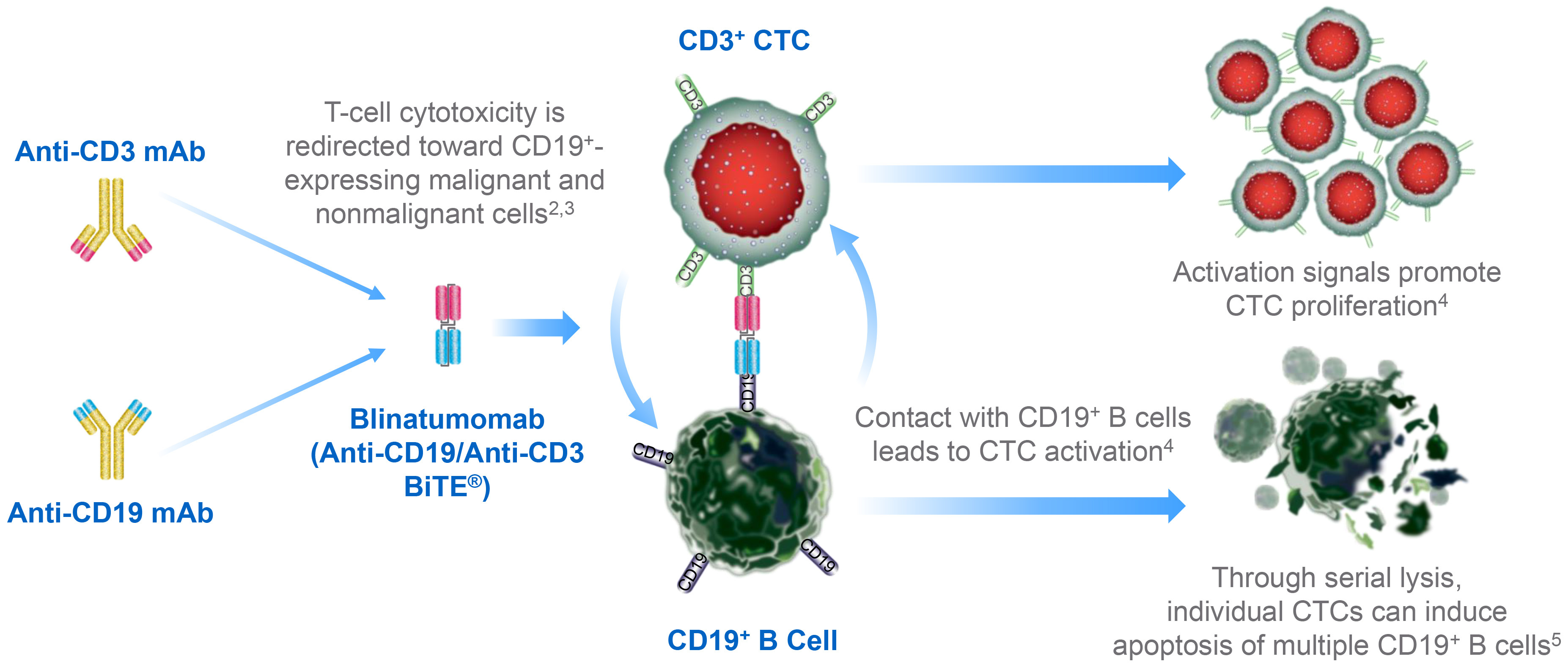 Blinatumomab in pediatric patients with relapsed/refractory acute lymphoblastic leukemia (RIALTO)