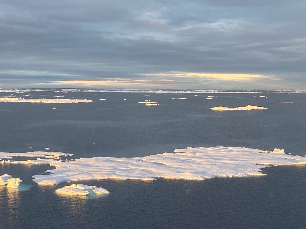 Warming Polar Water and increased presence of Atlantic Water impact sea ice along the east coast of Greenland 