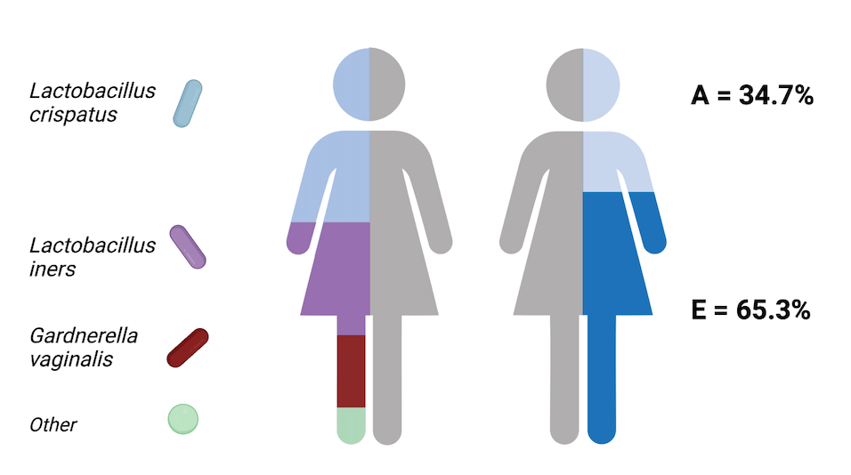 Hosting vaginal Lactobacillus crispatus may be in your genes