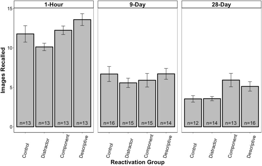 Editorial Summary—The mitigating effect of repeated memory reactivations on forgetting