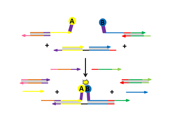 Programming protein switches through DNA strand displacement 
