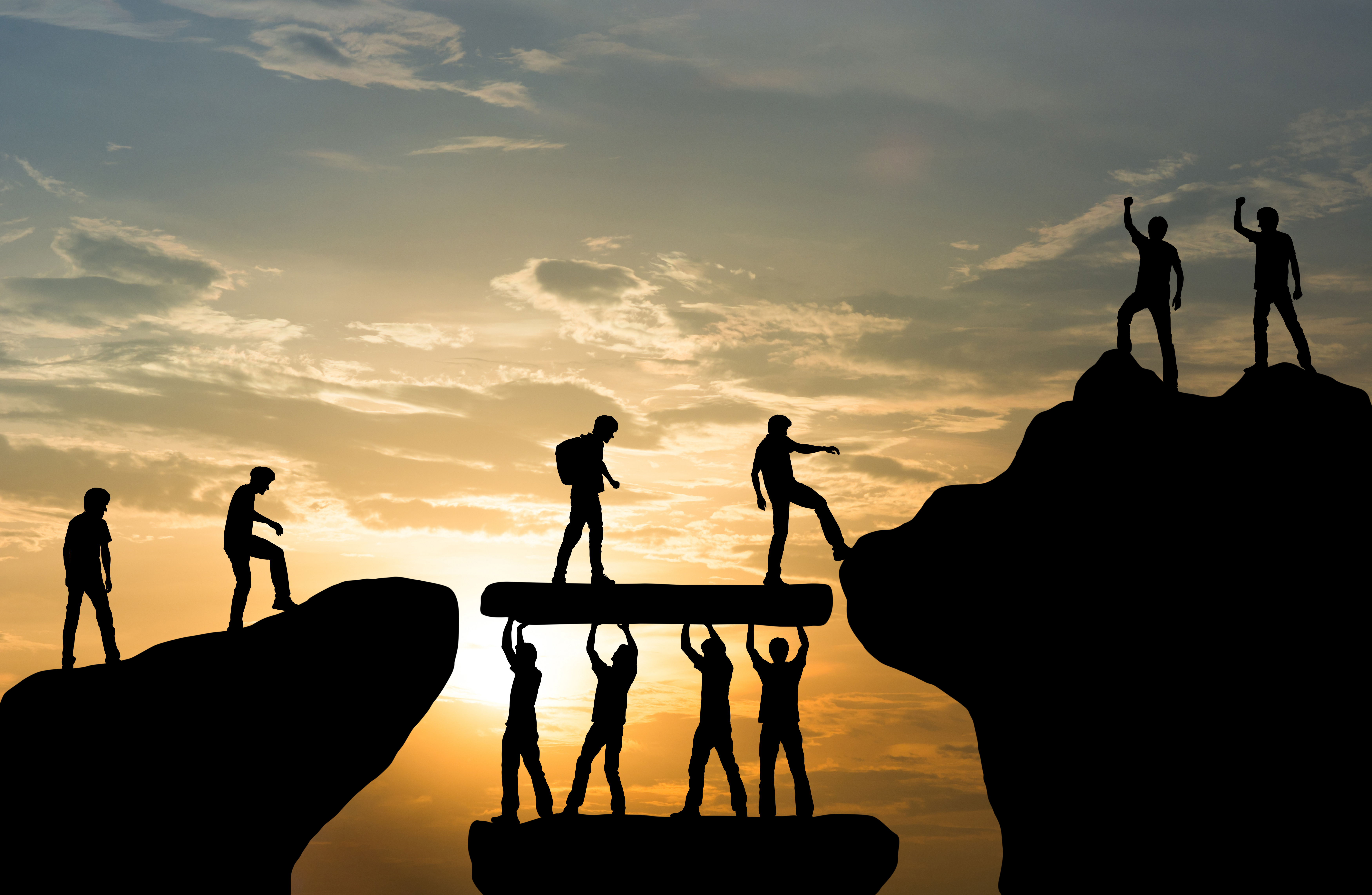 Unveiling Trust in Digital Healthcare