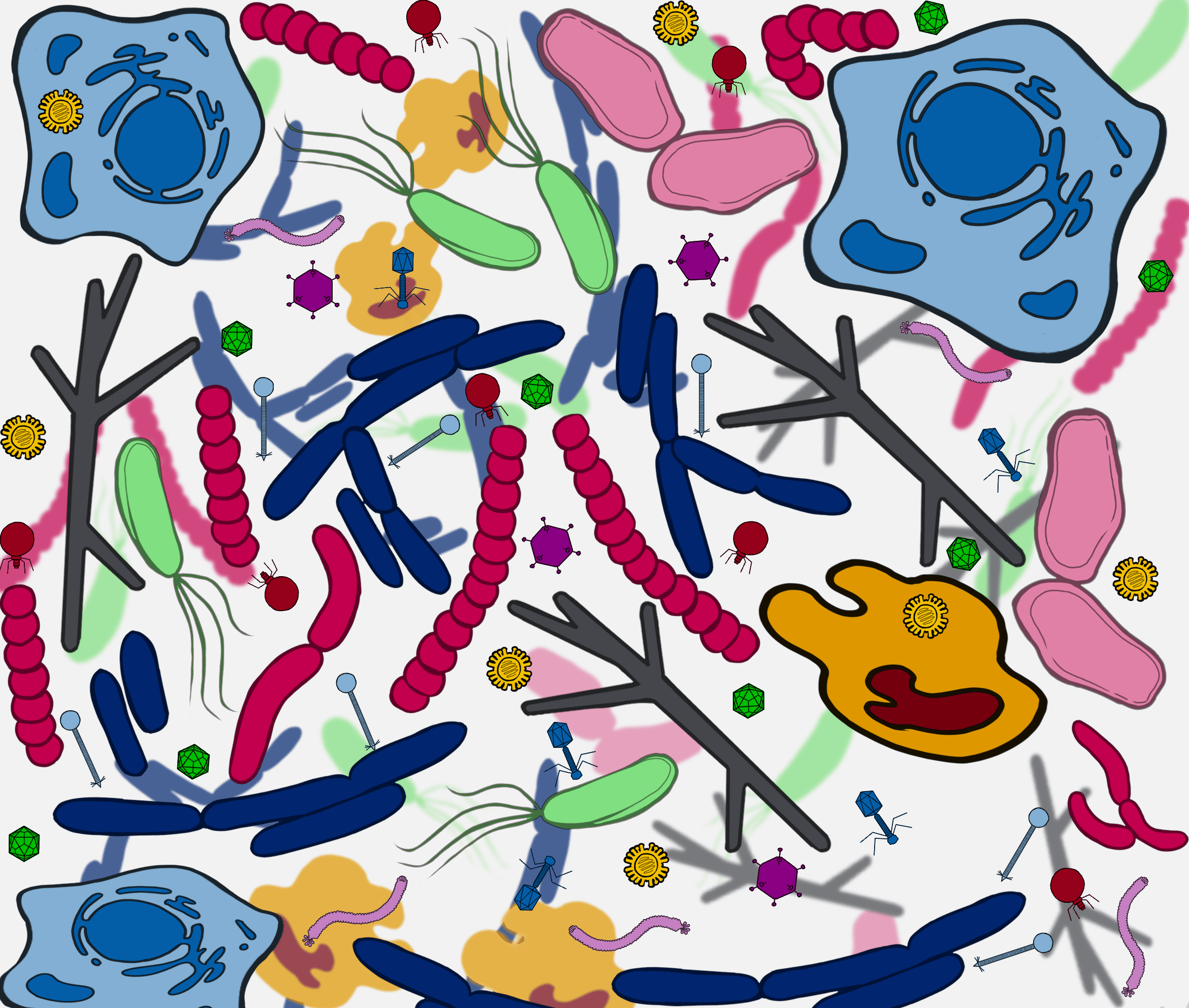 Lack of detection of a human placenta microbiome in samples from preterm and term deliveries