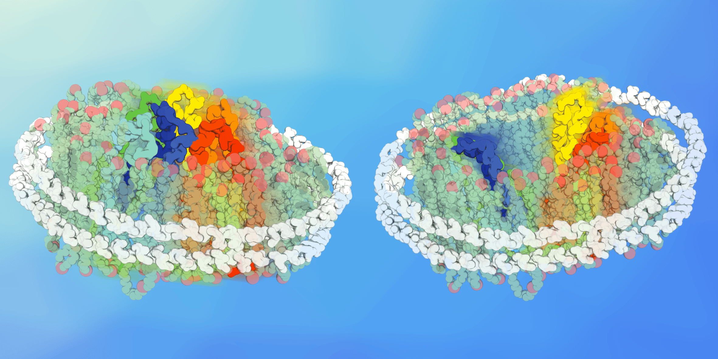Love your lipids – they make your proteins work better!