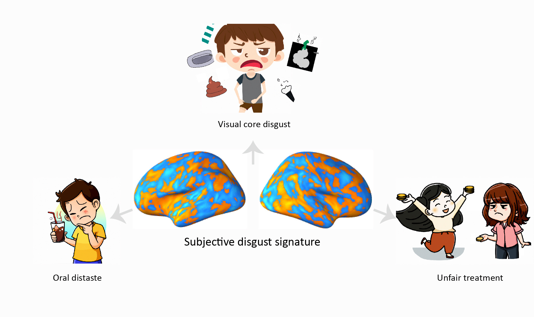 Rotten to the core: a neurofunctional signature of subjective disgust generalizes to oral distaste and socio-moral contexts