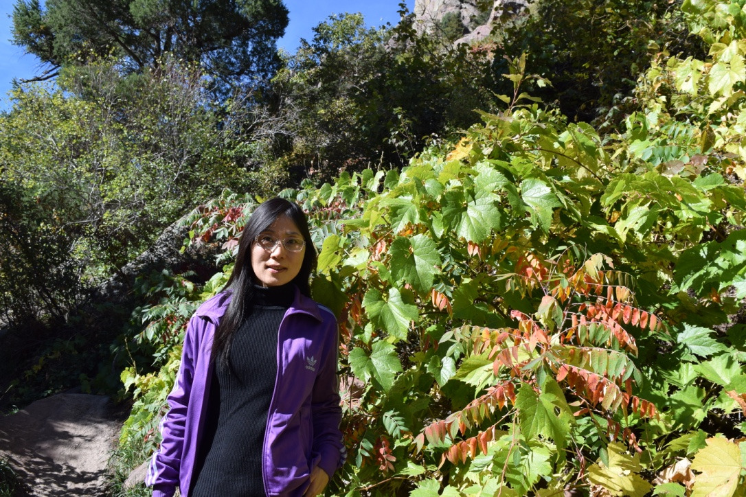 Go to the profile of Weiqing Han