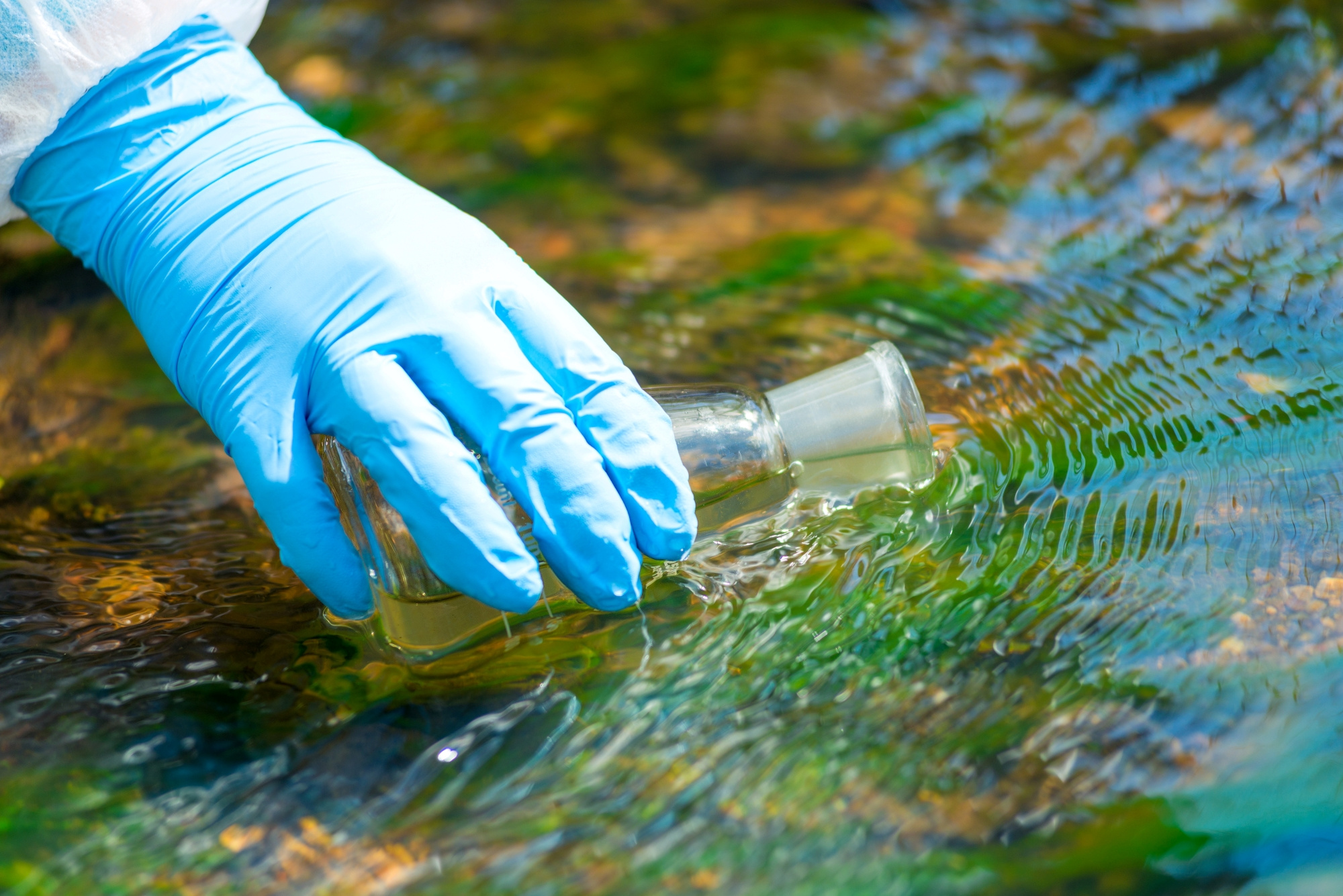 Aeromonas hydrophila in aquaculture