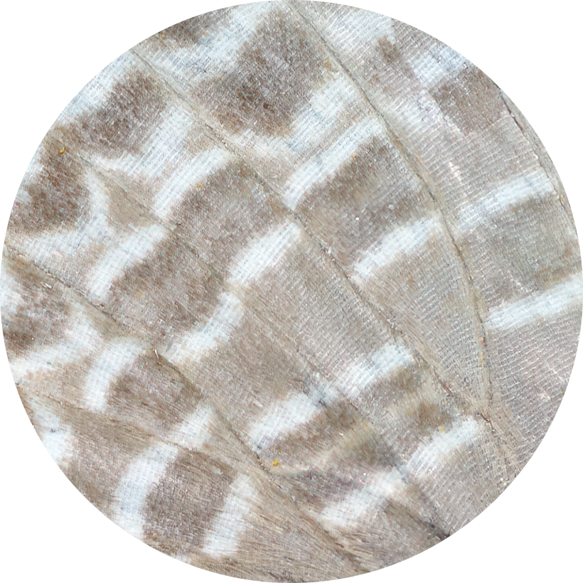 Go to the profile of Jiancheng Han