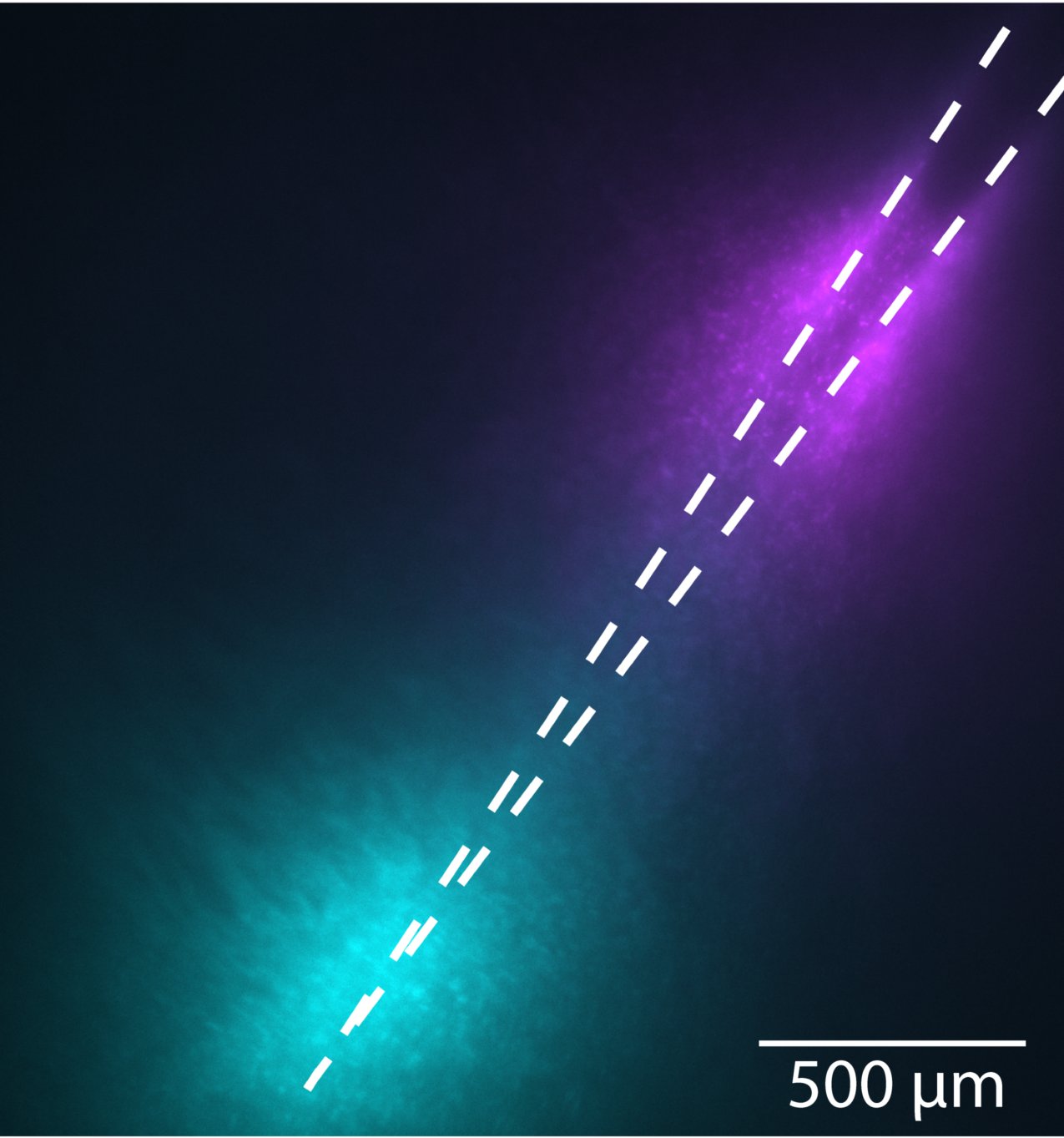 Optical neural readout at multiple depths made simple