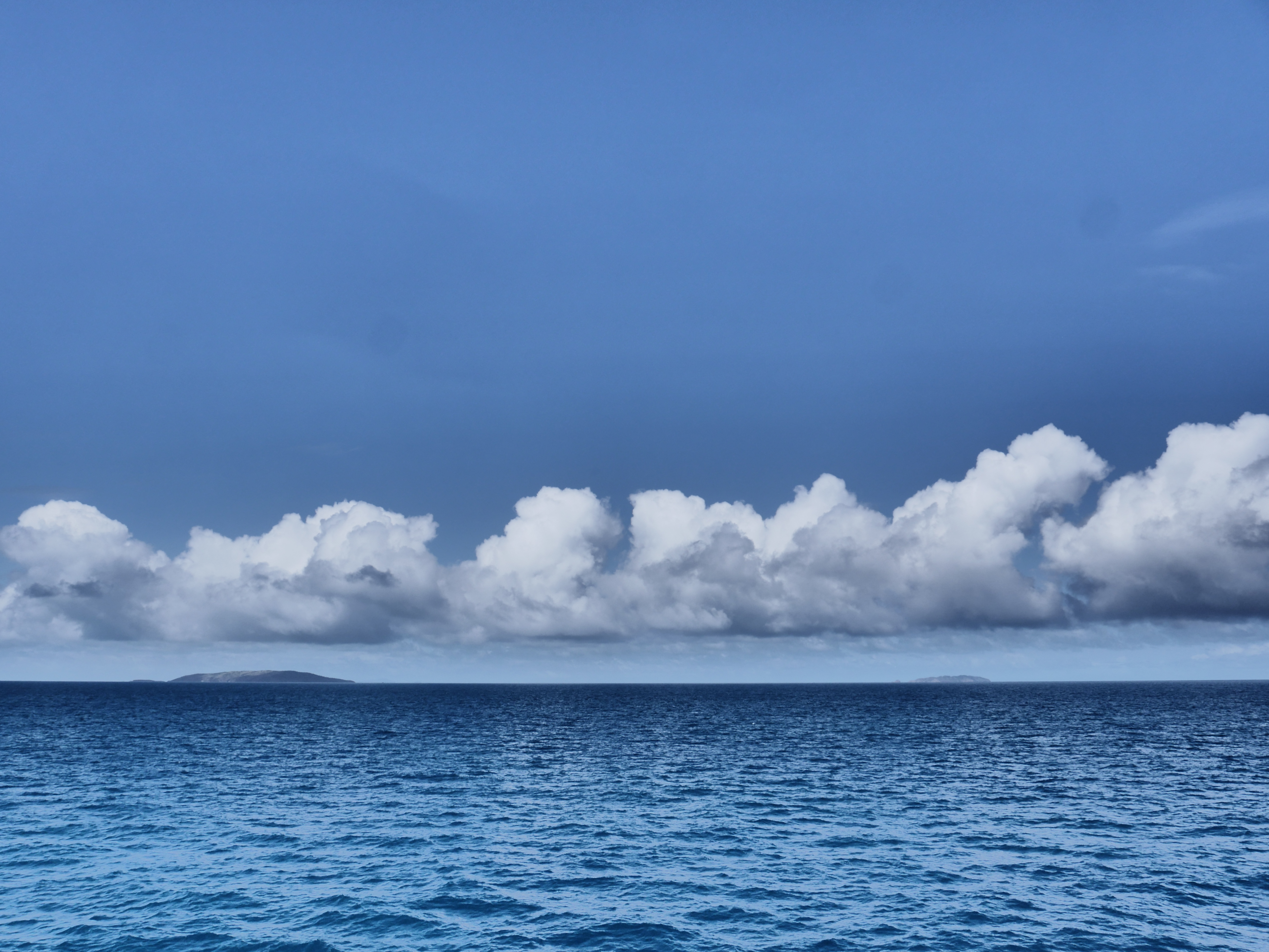 Microbes connect the earth, sea and sky