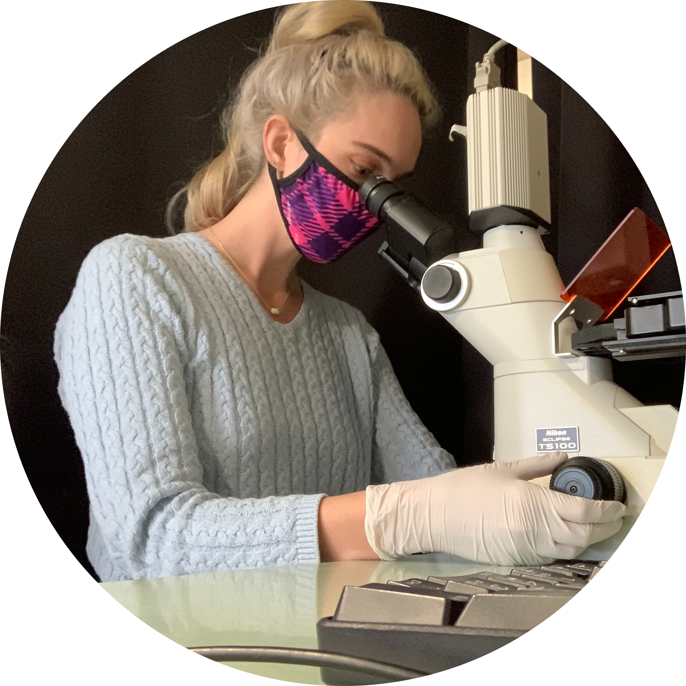 Go to the profile of Lane E Breshears