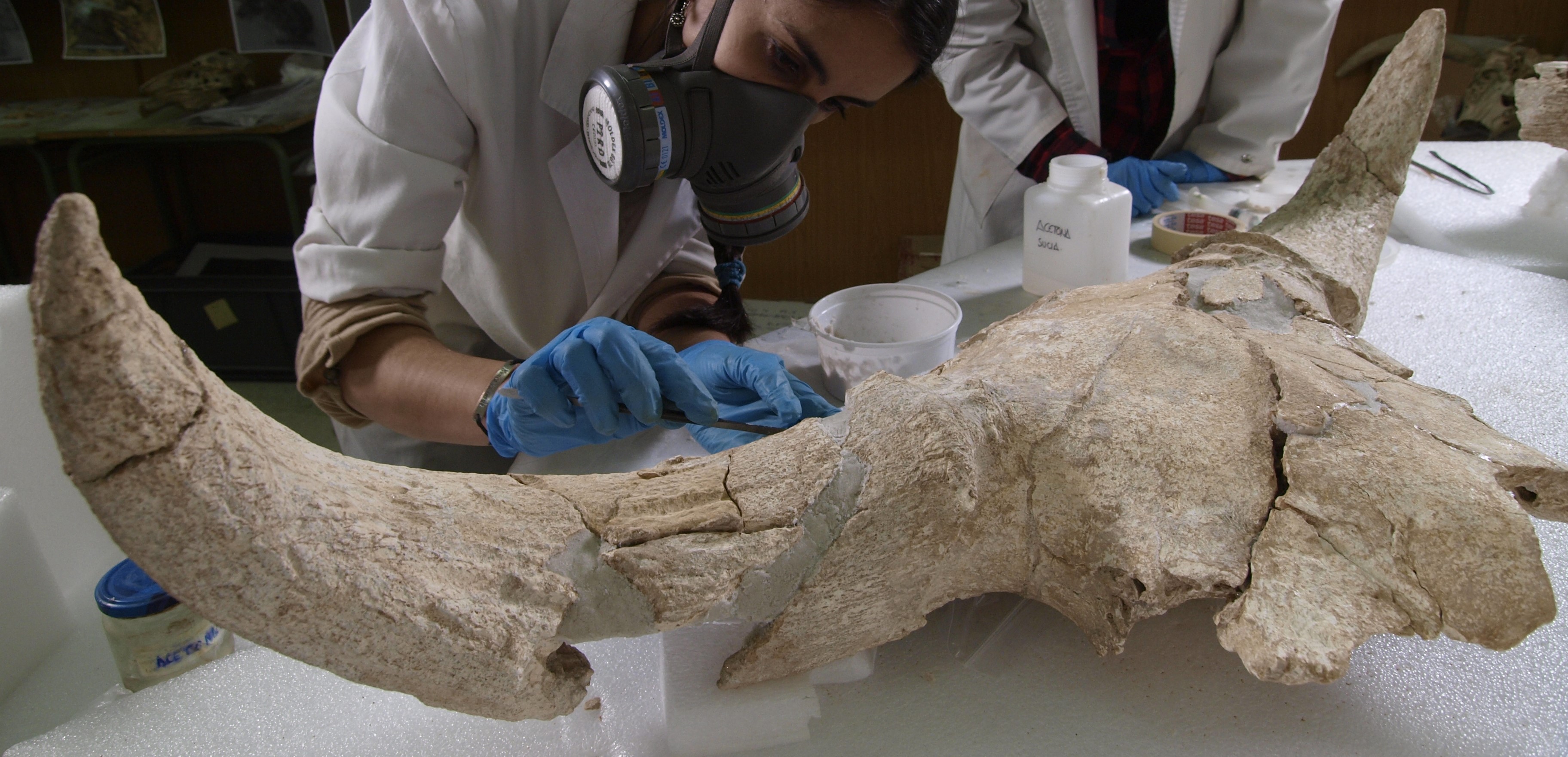 Neanderthals: more sapiens than we ever thought!