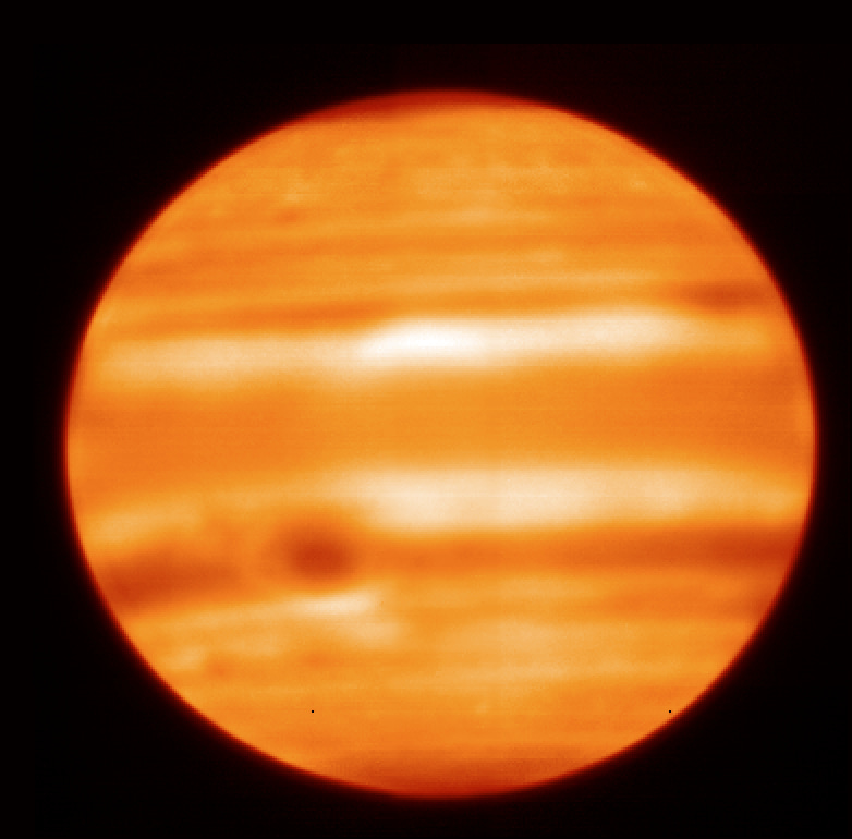 Surprises in the First 40-Year Tracking of Jupiter’s Temperature Variability