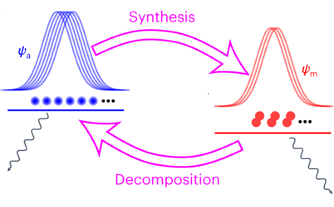 Ultracold chemical reactions in a quantum gas 