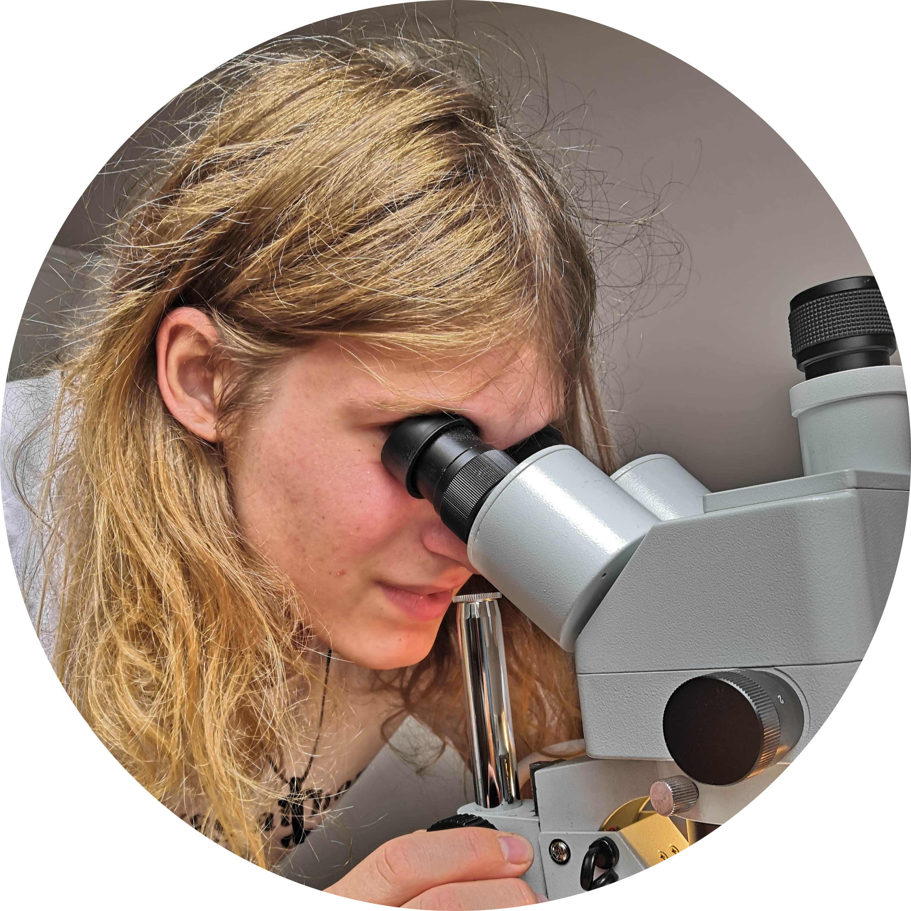 Go to the profile of Erik Tihelka