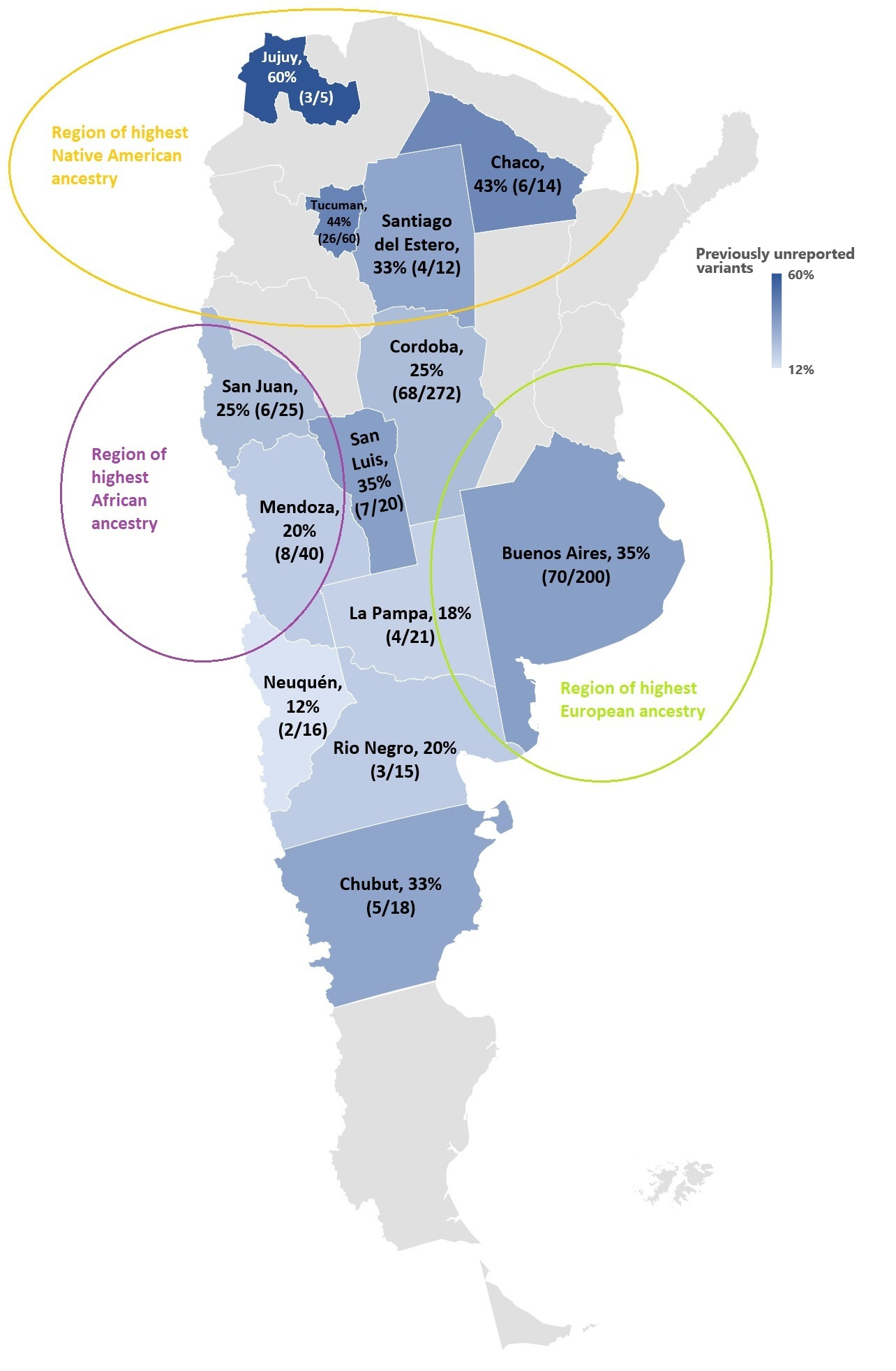 Nationwide genetic analysis of more than 600 families with inherited eye diseases in Argentina