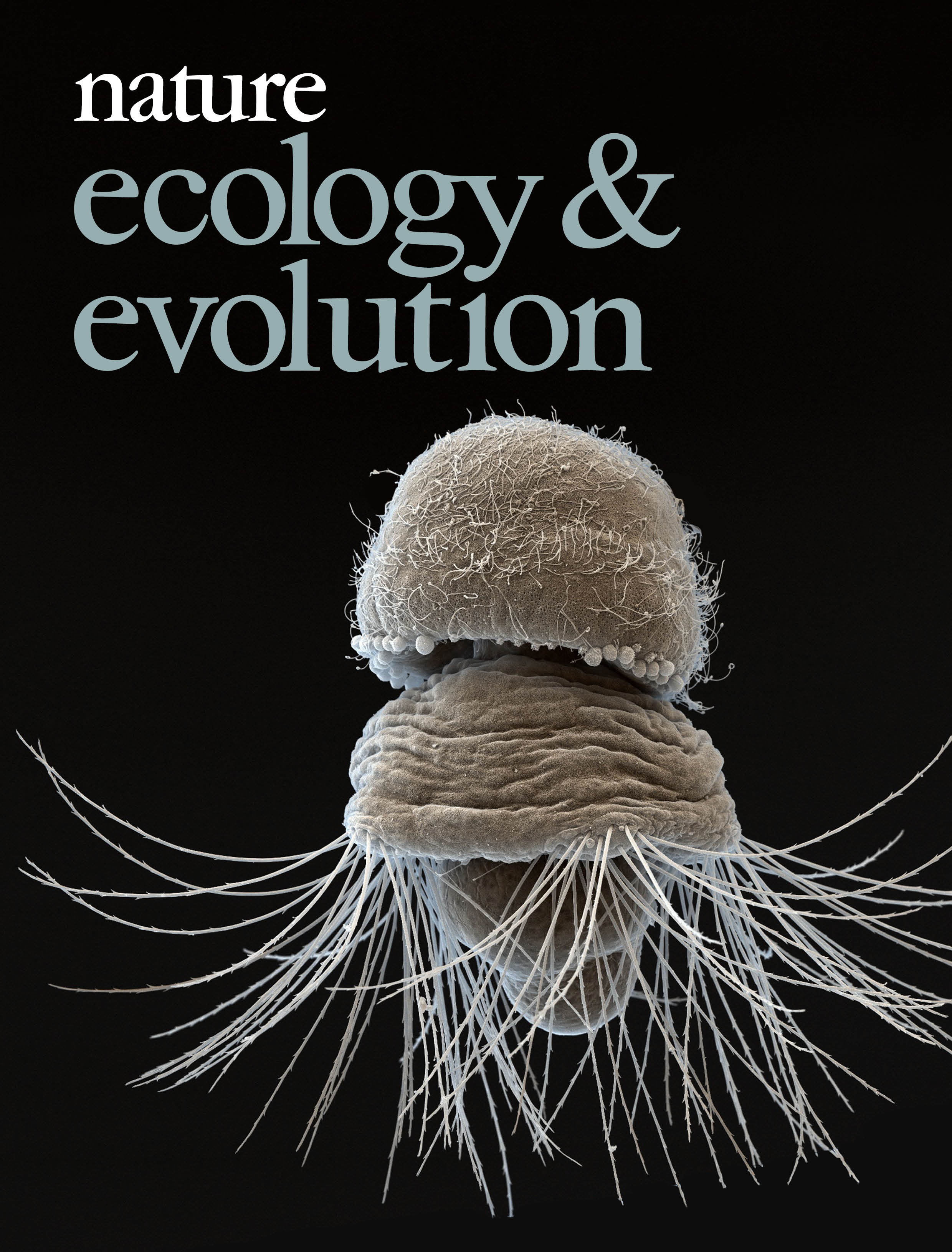 Gallery | January 2017 cover