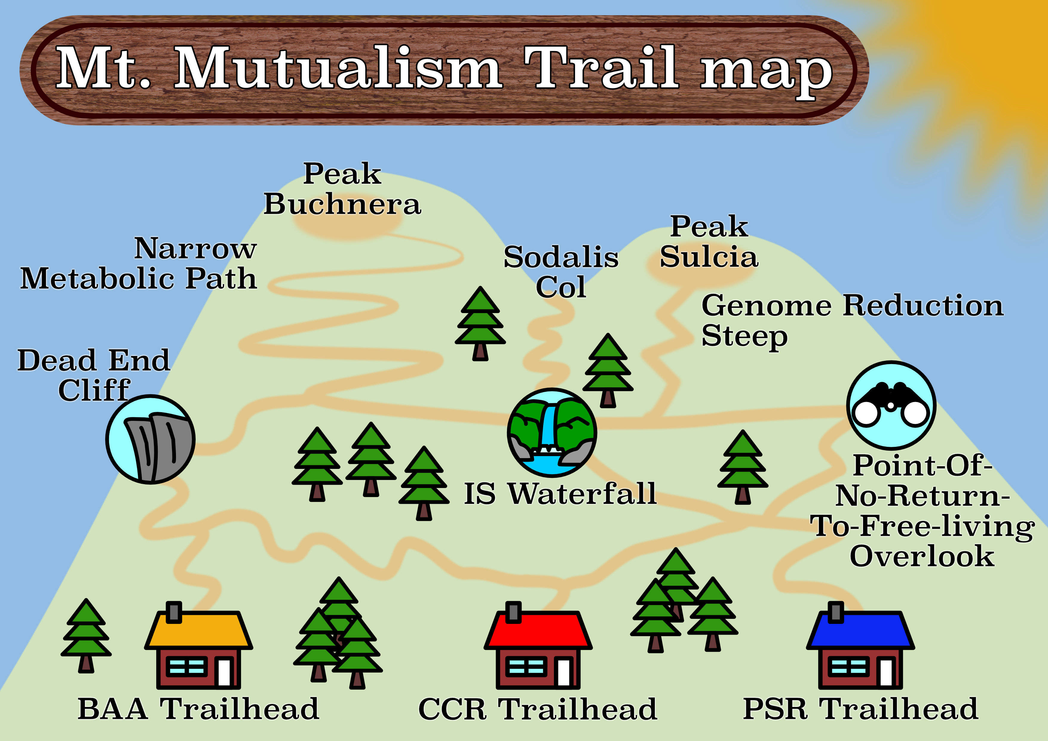 How many evolutionary paths to mutualism?