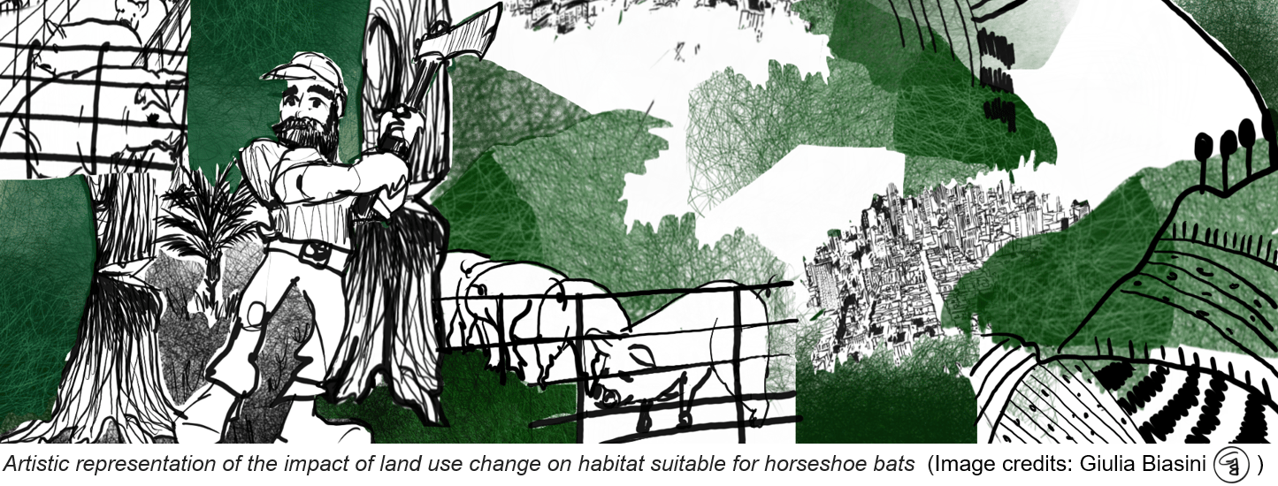 Land use change, unsustainable food production and the wild side of coronavirus