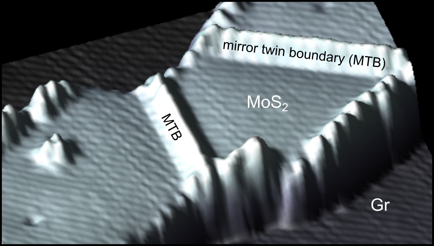 Modulated Kondo screening along magnetic mirror twin boundaries in monolayer MoS2