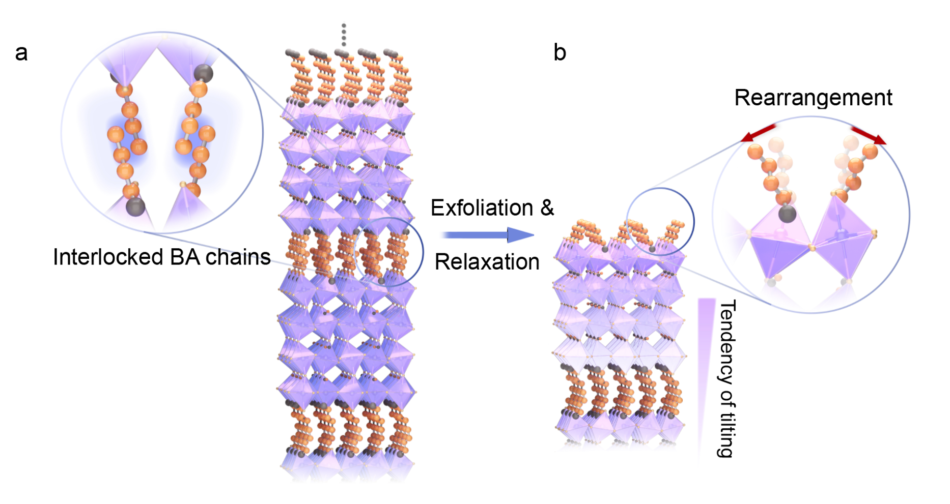 Unlocking surface octahedral tilt in two-dimensional Ruddlesden-Popper perovskites