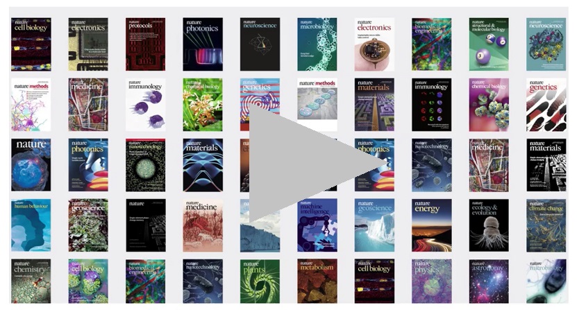 What makes a Nature Research journal?