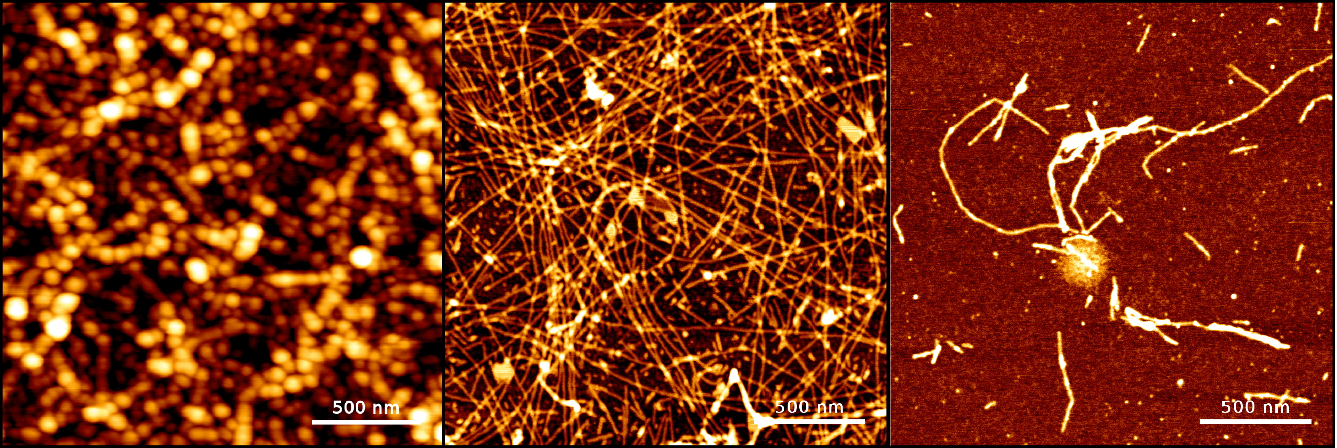 Protein nanofibril design via manipulation of hydrogen bonds