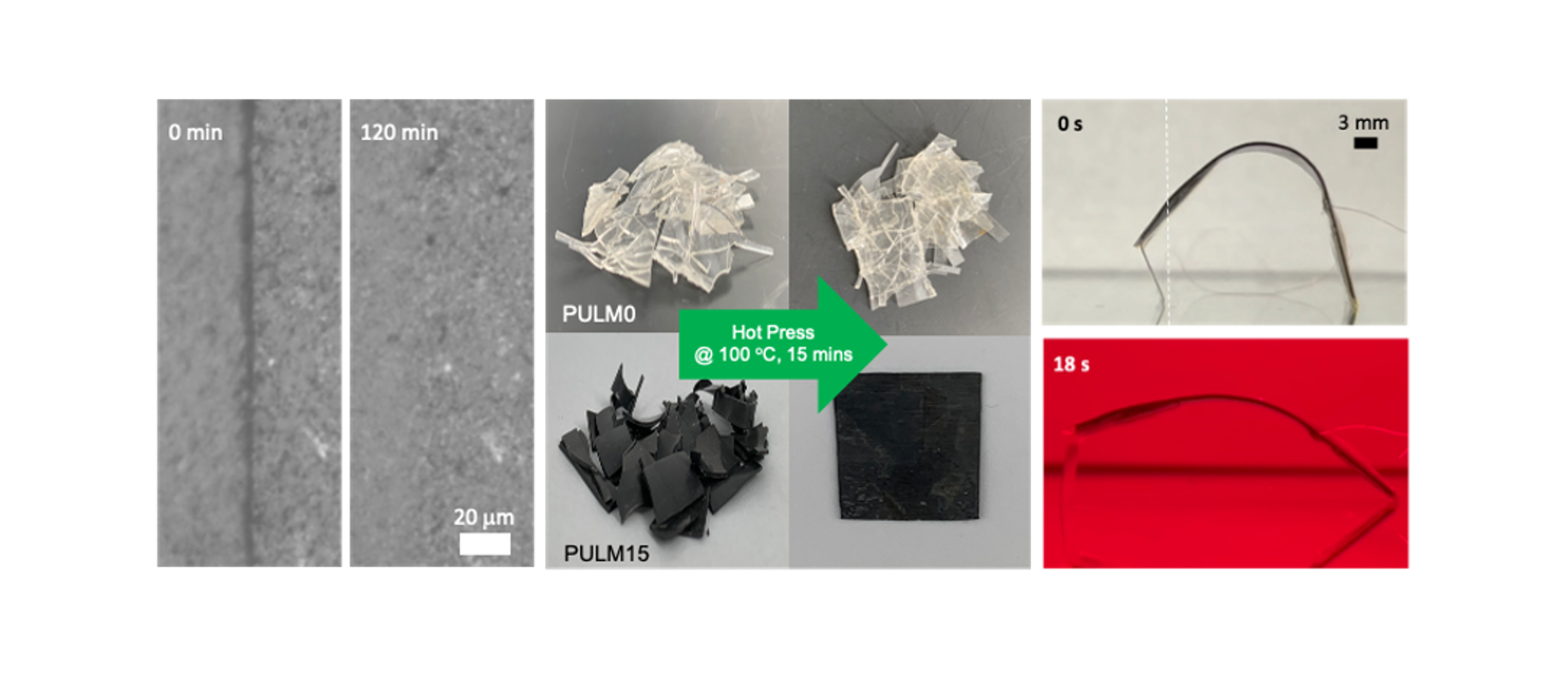 Photothermal modulated dielectric elastomer actuator for resilient soft robots