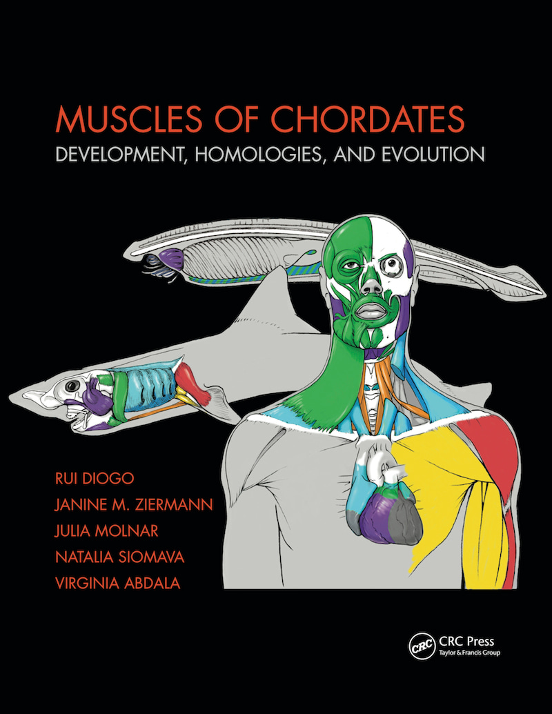 Book: evolution and development of muscles of all chordates