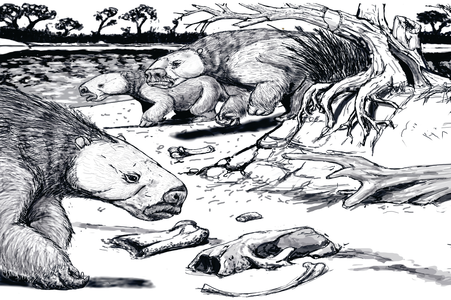 Preservation of a social group reflects gregarious habits in the Quaternary giant ground sloth Lestodon armatus