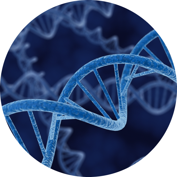 Go to the profile of Anna Seck