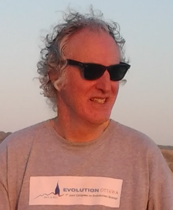 Go to the profile of Octávio S. Paulo