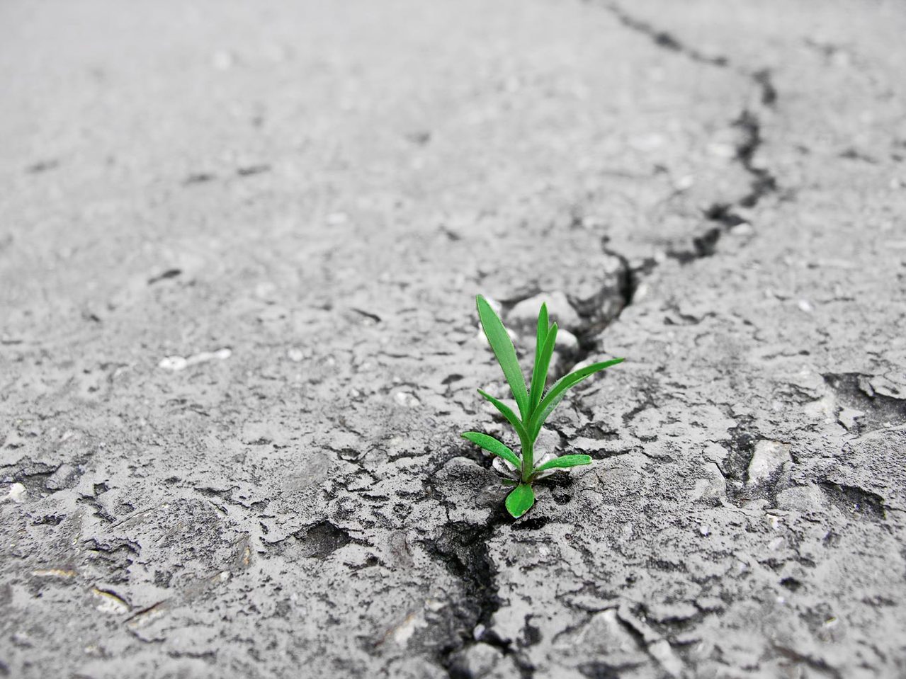 Breaking through asphalt