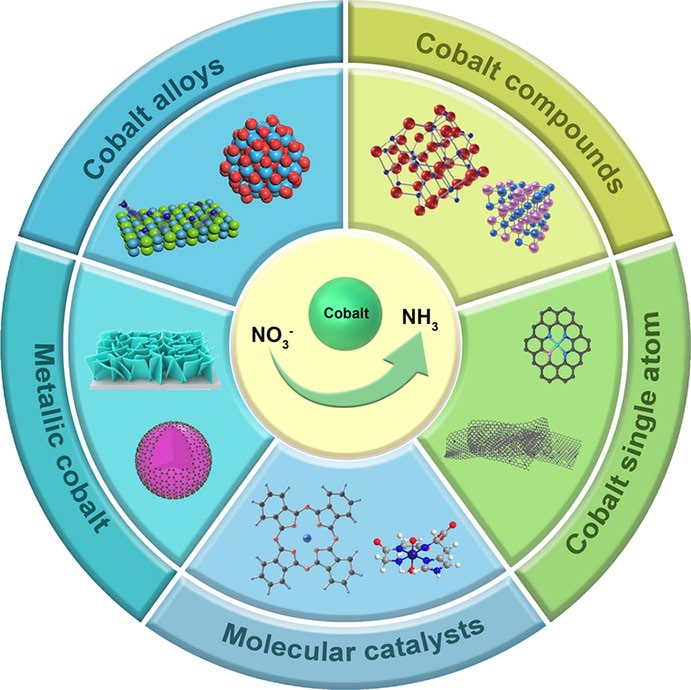 Cobalt-Based Electrocatalysts for Sustainable Nitrate Conversion: Structural Design and Mechanistic Advancements