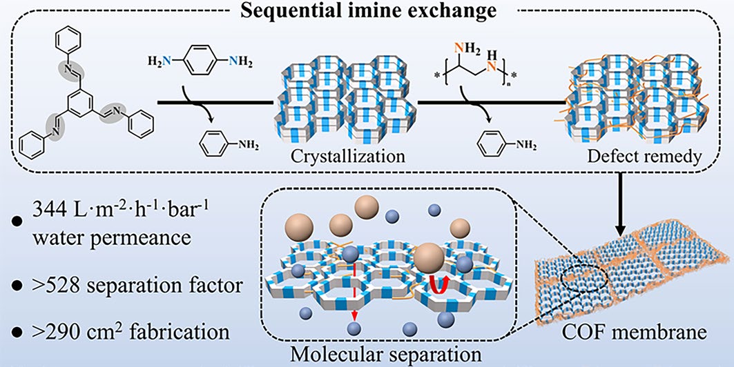 Covalent Organic Framework Membranes through Sequential Imine Exchange for Precise Molecular Separation