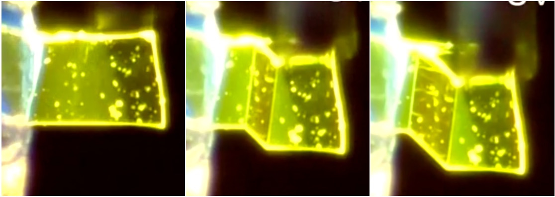 Superelastochromic organic crystal