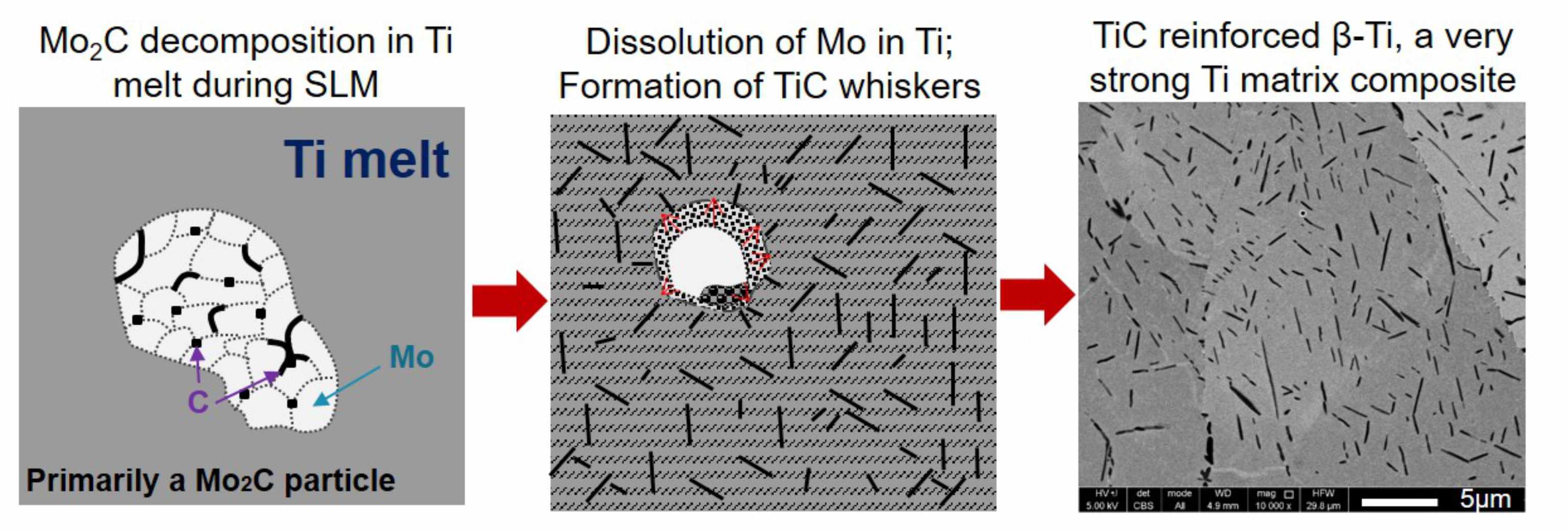 Laser-based additive manufacturing: a versatile tool to generate novel Ti composites 