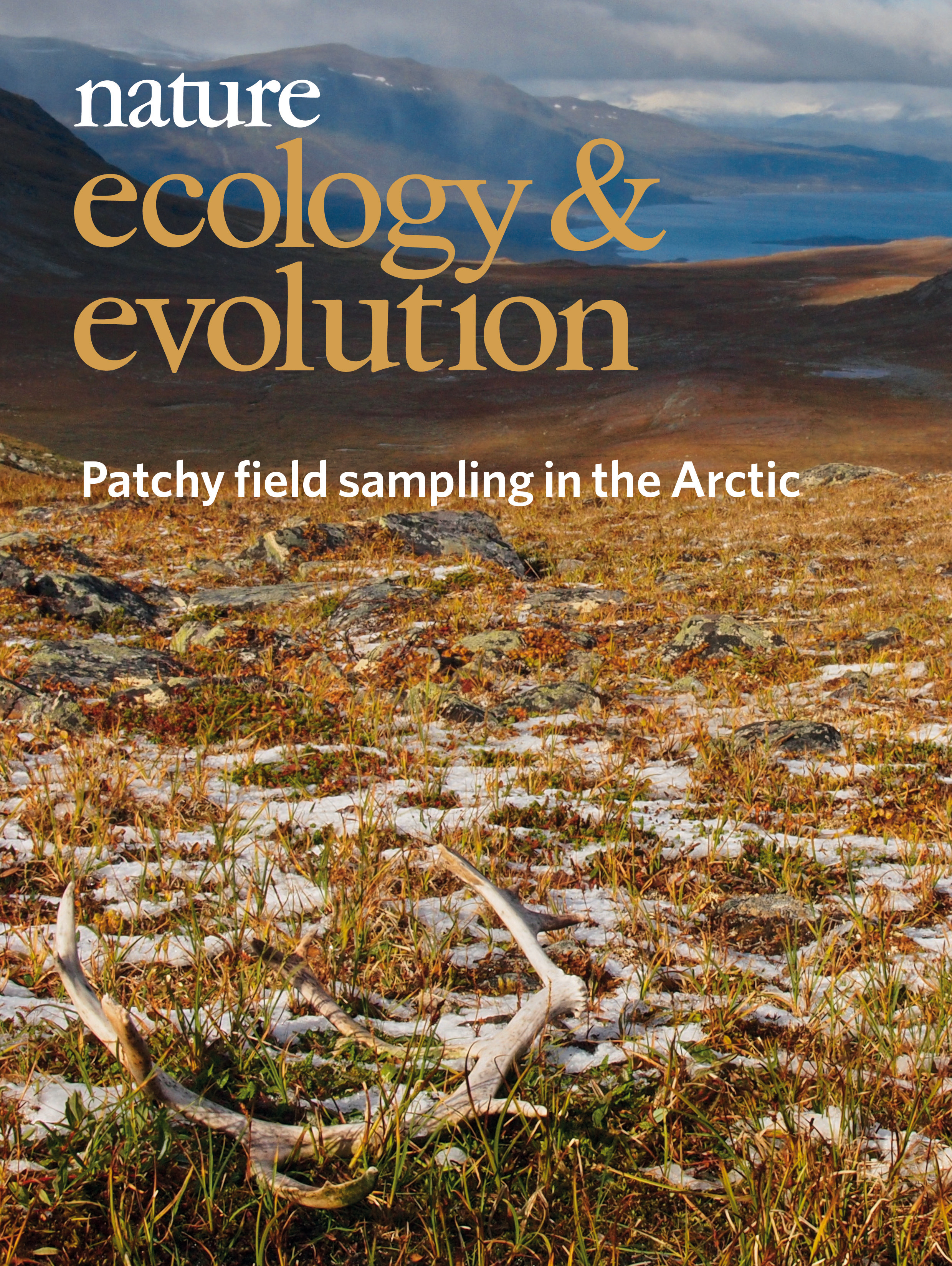 Gallery | September 2018 cover