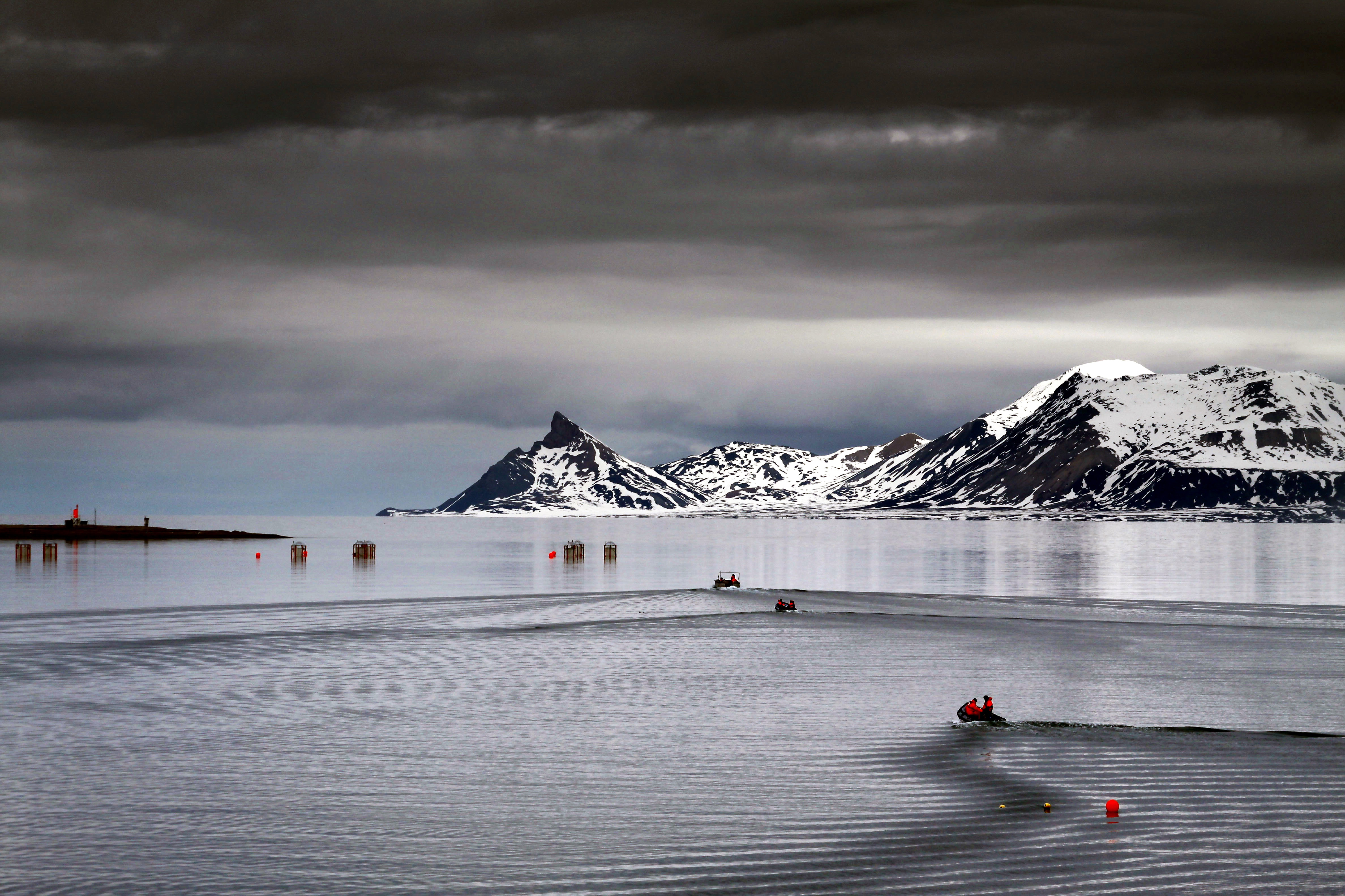 Ocean acidification, plankton, and the biological carbon pump