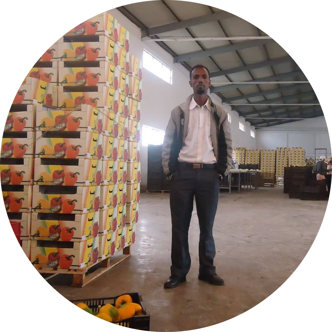 Go to the profile of Hailay Gebremedhin