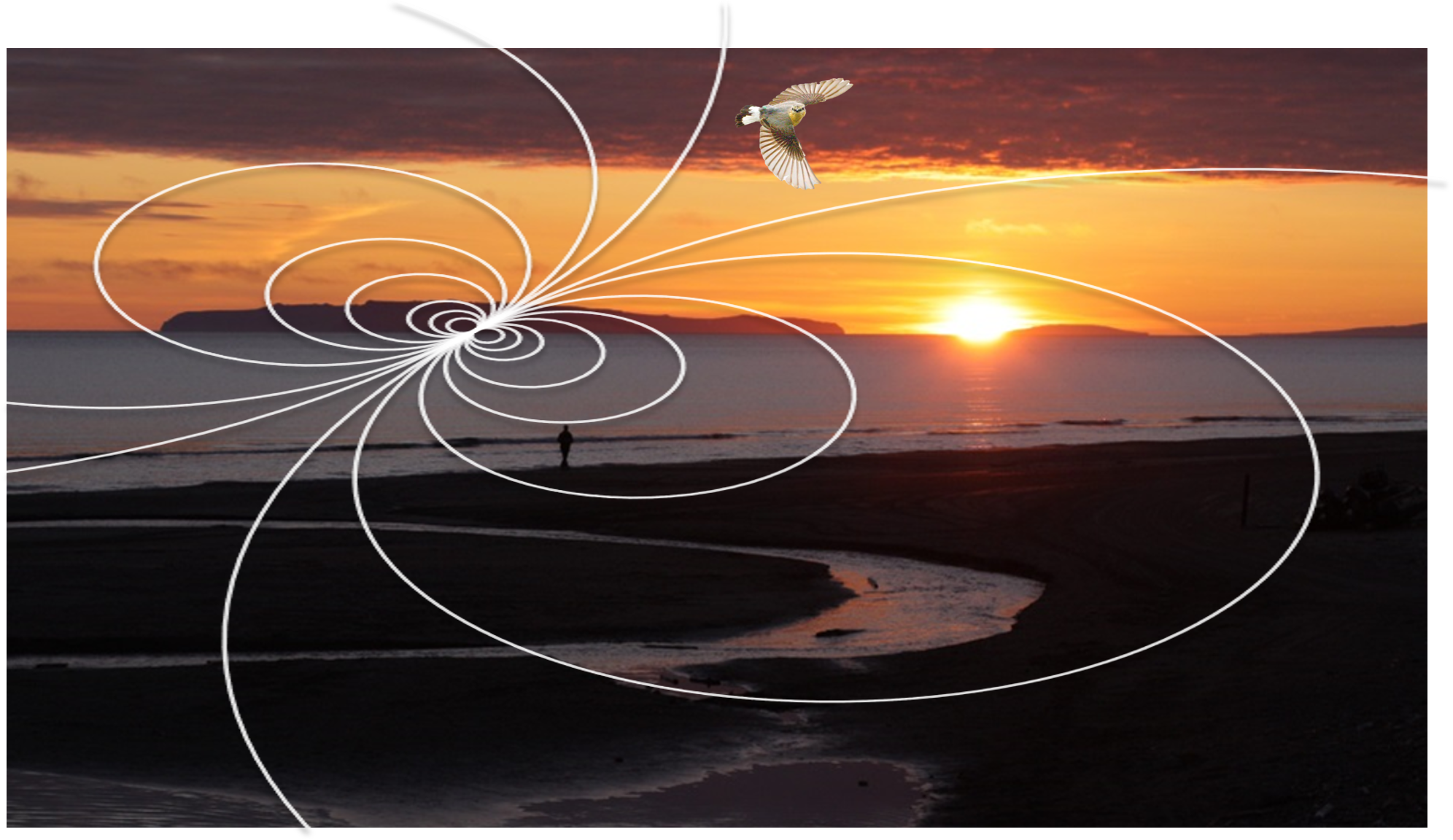 Predicting how inexperienced migratory animals find their way
