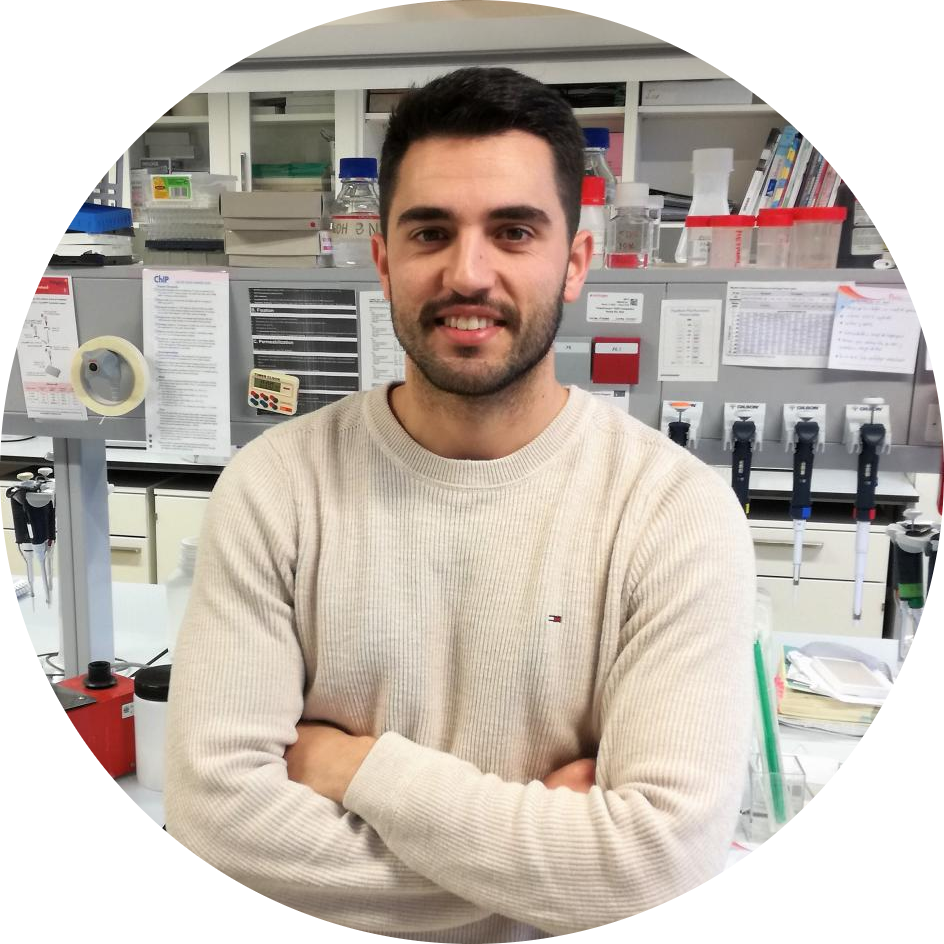 Go to the profile of Anxo Martinez-Ordoñez