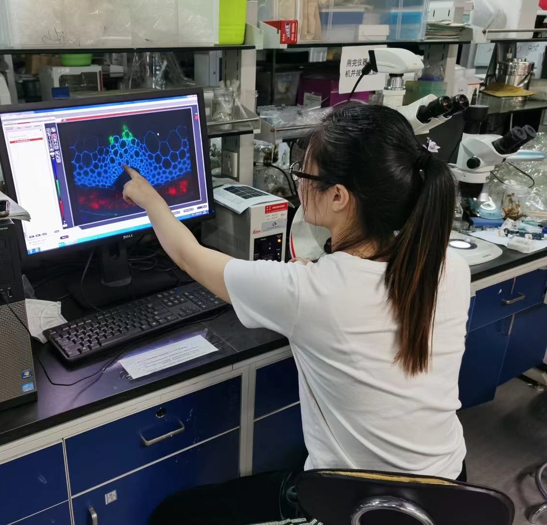 Go to the profile of Yayu Guo