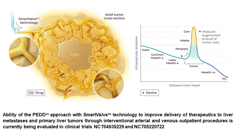Reprogramming the liver tumor microenvironment to enhance anti-tumor activity and improve responsiveness to systemic checkpoint inhibition