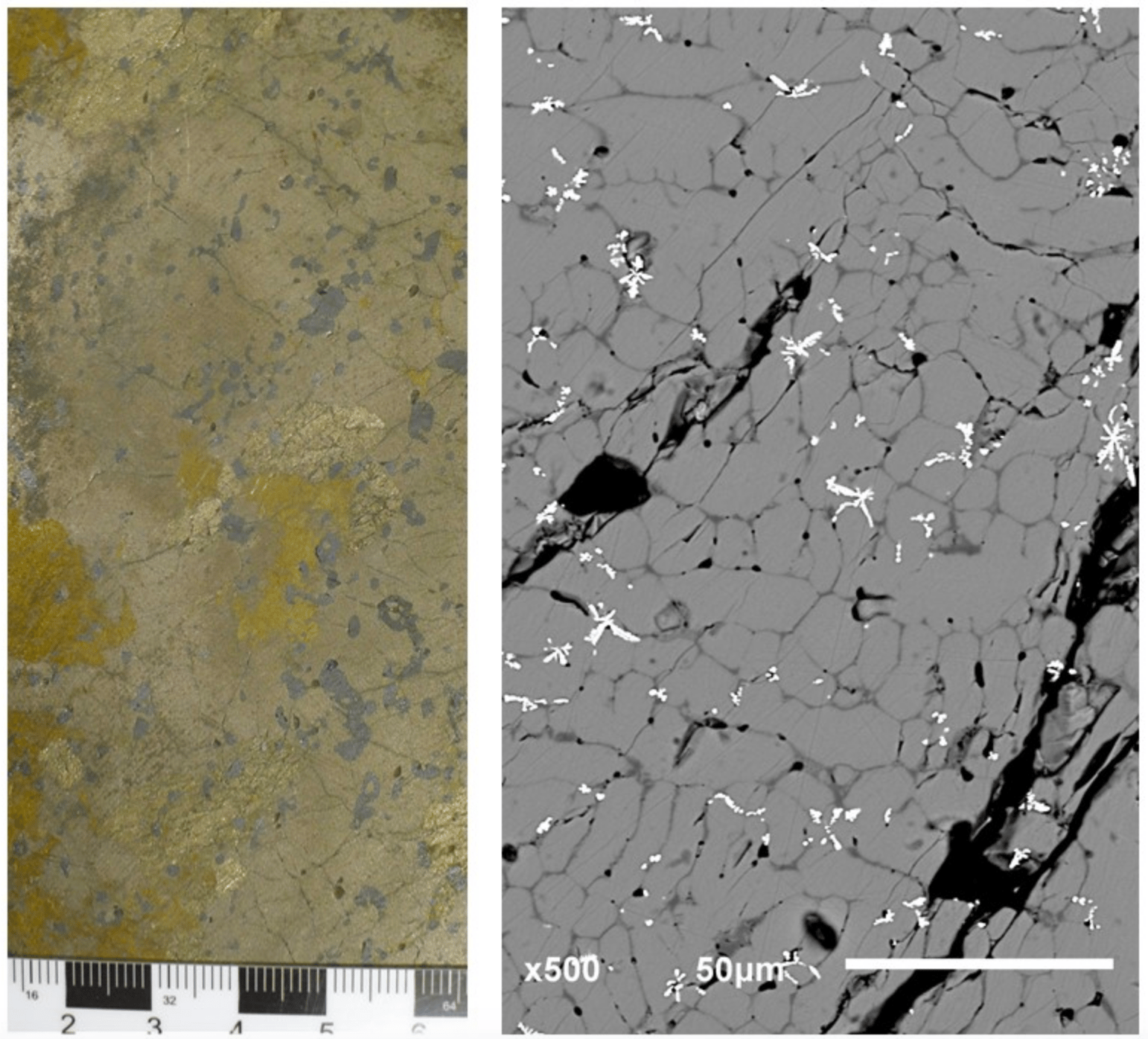 Abundance of highly siderophile elements in lunar basalts controlled by iron sulfide melt 