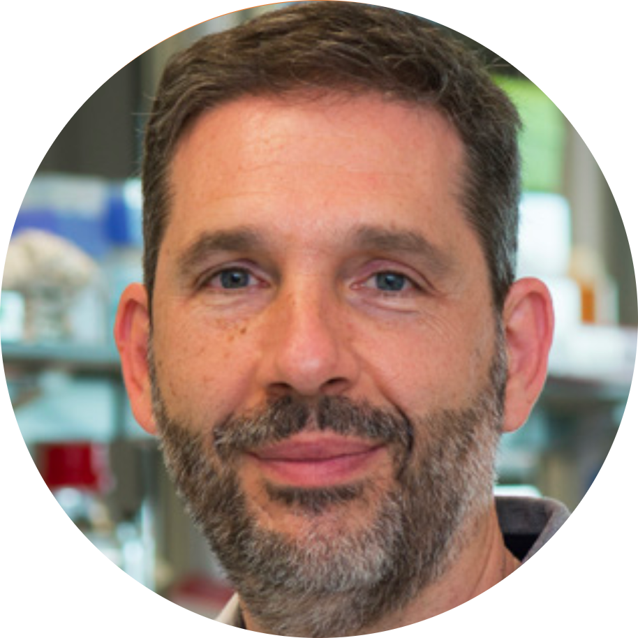 Go to the profile of Josep Villanueva