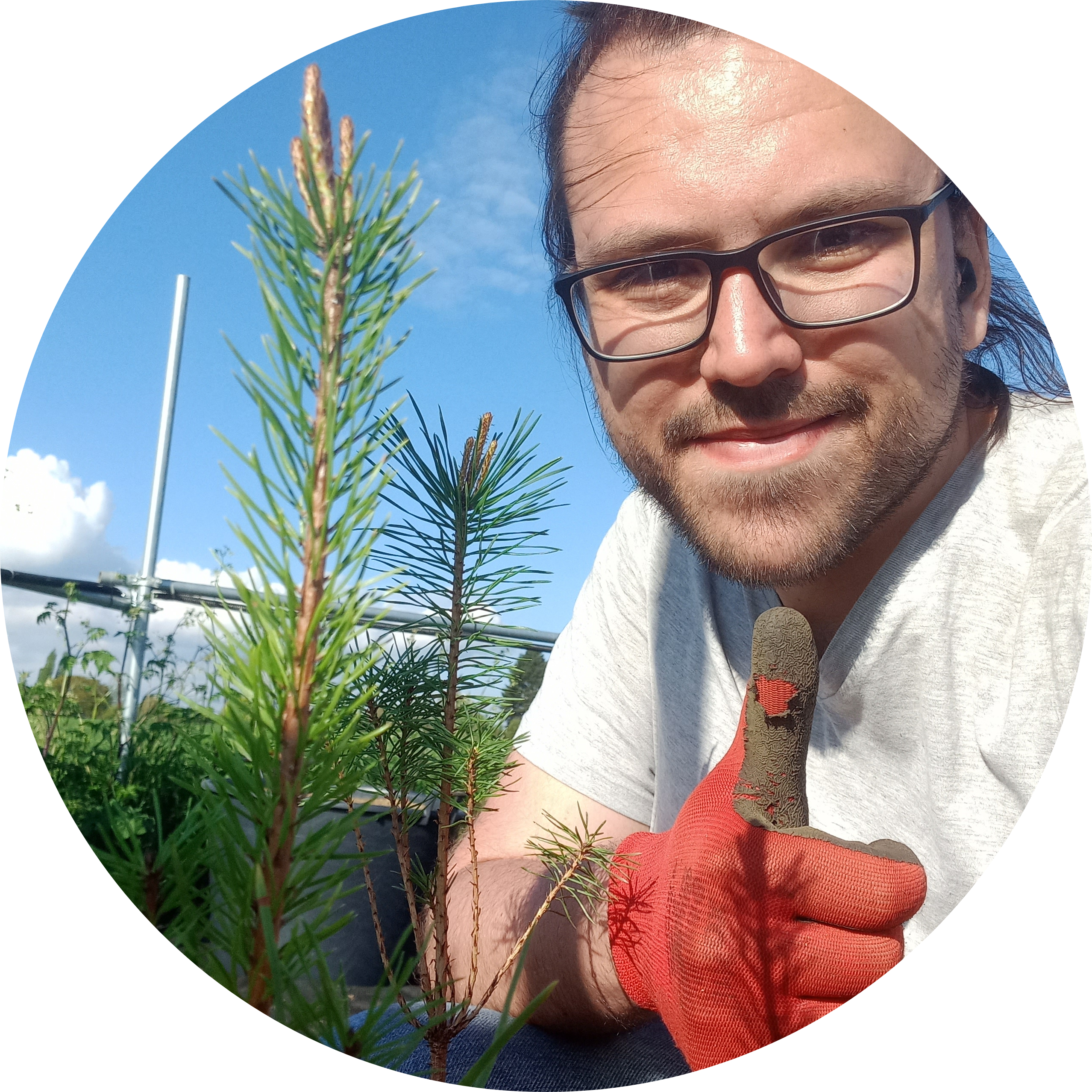 Go to the profile of Tihomir Simin